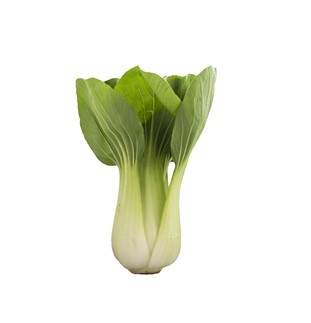 Pak Choi odlas av Sydgrönt